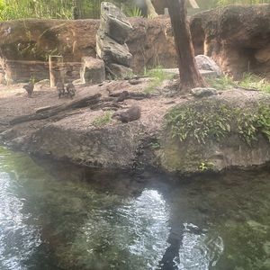 Meet your Posher, Jina